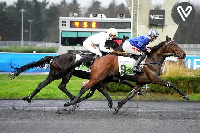 Photo d'arrivée de la course pmu PRIX EDOUARD MARCILLAC à PARIS-VINCENNES le Vendredi 13 février 2026