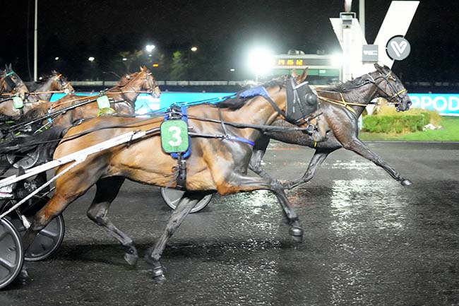 Photo d'arrivée de la course pmu PRIX DE BOIS-LE-ROI à PARIS-VINCENNES le Vendredi 13 février 2026