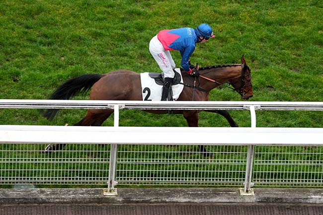 Photo d'arrivée de la course pmu PRIX DE LA SOURCE à AUTEUIL le Samedi 14 février 2026