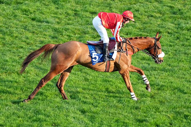 Photo d'arrivée de la course pmu GSC MASTERS - PRIX ROBERT DE CLERMONT-TONNERRE à AUTEUIL le Samedi 14 février 2026
