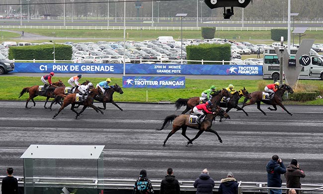 Photo d'arrivée de la course pmu PRIX DE GRENADE à PARIS-VINCENNES le Dimanche 15 février 2026