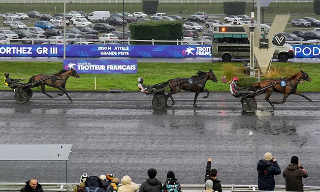 Photo d'arrivée de la course pmu PRIX D'ORTHEZ à PARIS-VINCENNES le Dimanche 15 février 2026