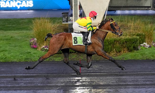 Photo d'arrivée de la course pmu PRIX DU PONTAVICE DE HEUSSEY à PARIS-VINCENNES le Dimanche 15 février 2026