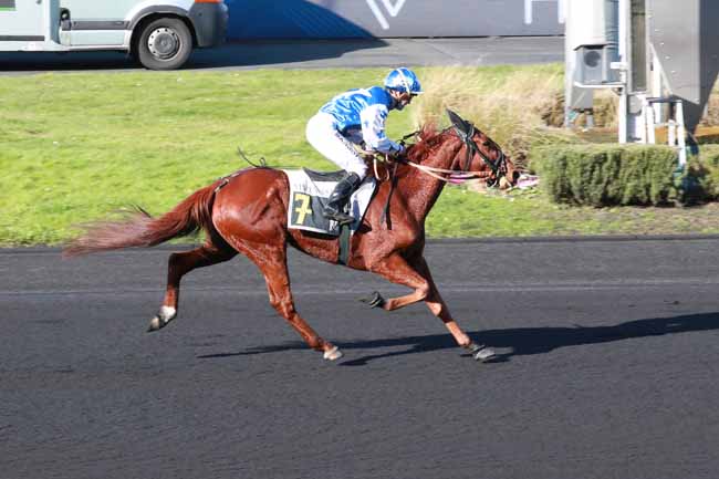 Photo d'arrivée de la course pmu PRIX DE ROMORANTIN à PARIS-VINCENNES le Lundi 16 février 2026