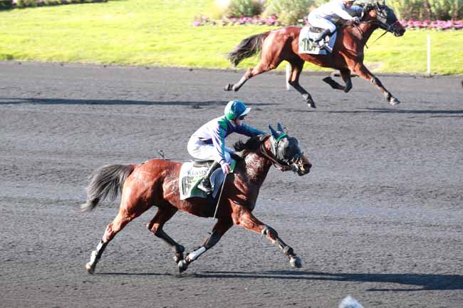 Photo d'arrivée de la course pmu PRIX DU TARN à PARIS-VINCENNES le Lundi 16 février 2026