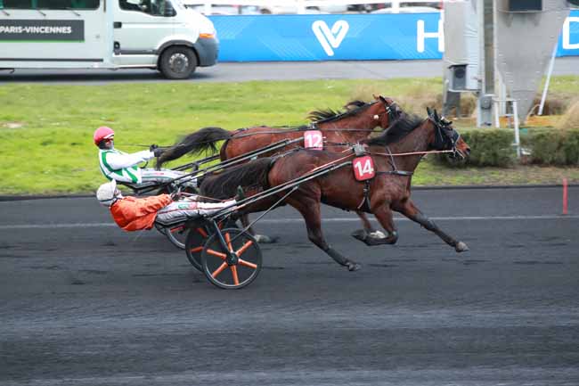 Photo d'arrivée de la course pmu PRIX DE CHALLANS à PARIS-VINCENNES le Lundi 16 février 2026