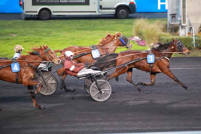 Photo d'arrivée de la course pmu PRIX DE FREJUS à PARIS-VINCENNES le Lundi 16 février 2026