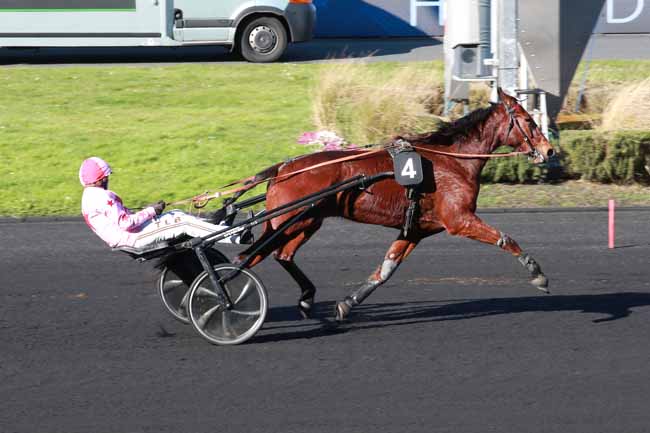 Photo d'arrivée de la course pmu PRIX DE LAUZUN à PARIS-VINCENNES le Mardi 17 février 2026