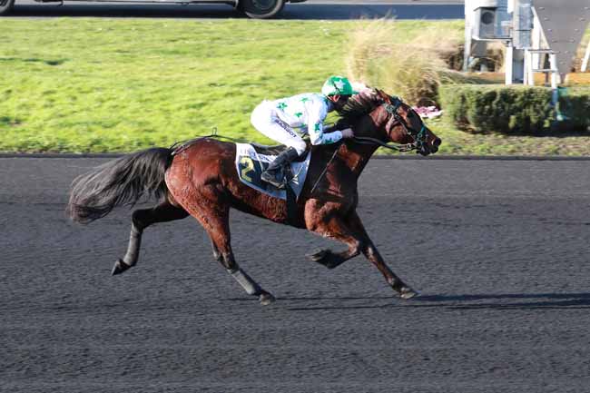 Photo d'arrivée de la course pmu PRIX DE BELLEGARDE à PARIS-VINCENNES le Mardi 17 février 2026