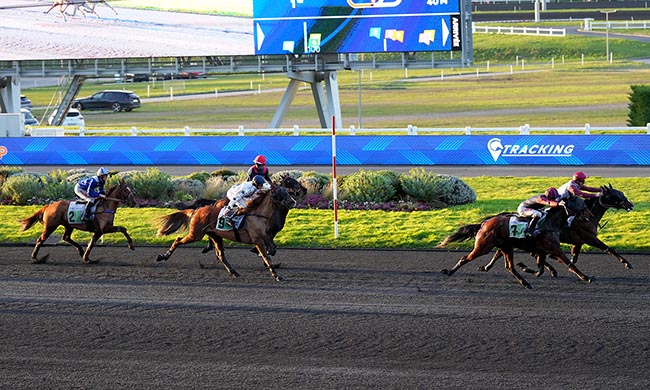 Photo d'arrivée de la course pmu PRIX DE FONTAINEBLEAU à PARIS-VINCENNES le Mardi 17 février 2026