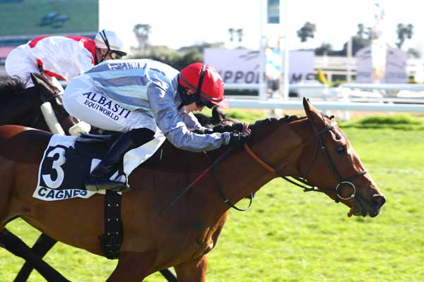 Photo d'arrivée de la course pmu PRIX ANTOINE CAPOZZI à CAGNES-SUR-MER le Mercredi 18 février 2026
