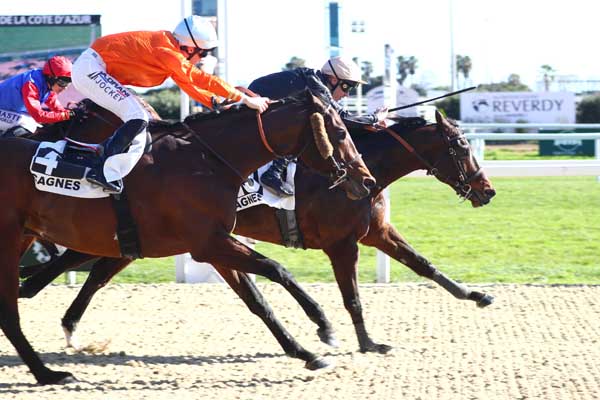 Arrivée quinté pmu PRIX HENRI ROSSI à CAGNES-SUR-MER