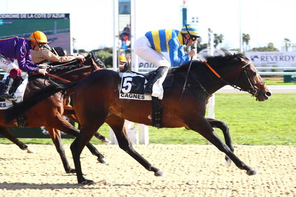 Photo d'arrivée de la course pmu PRIX DE LA MENTHE POIVREE à CAGNES-SUR-MER le Mercredi 18 février 2026