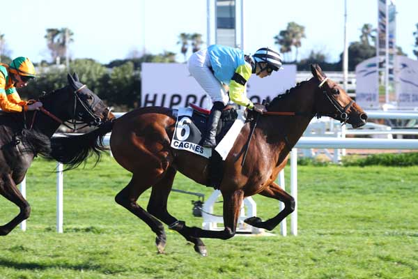 Photo d'arrivée de la course pmu PRIX DU CHEIRON à CAGNES-SUR-MER le Mercredi 18 février 2026