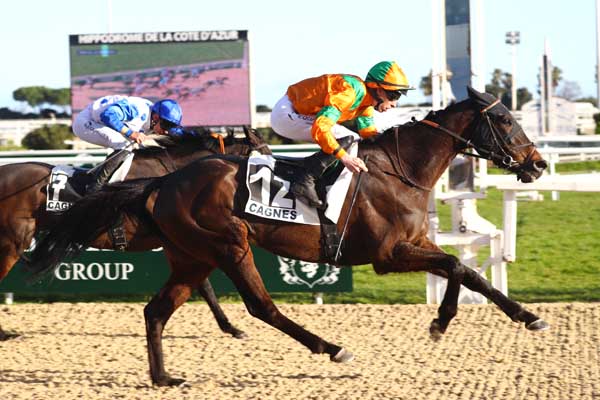 Photo d'arrivée de la course pmu PRIX DE LA NAPOULE à CAGNES-SUR-MER le Mercredi 18 février 2026