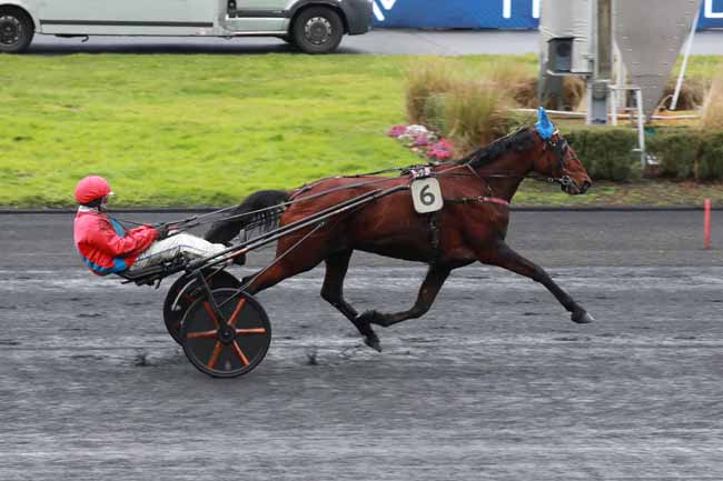 Arrivée quinté pmu PRIX DU CANTAL à PARIS-VINCENNES