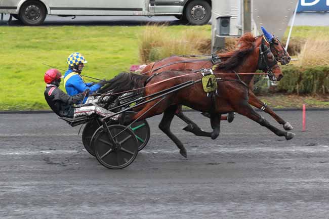Photo d'arrivée de la course pmu PRIX DE GRAIGNES à PARIS-VINCENNES le Jeudi 19 février 2026