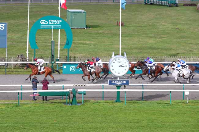 Photo d'arrivée de la course pmu PRIX DE L'ALLEE DU PONT AU ROI à CHANTILLY le Jeudi 19 février 2026