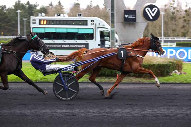 Photo d'arrivée de la course pmu PRIX DE PLESTIN-LES-GREVES à PARIS-VINCENNES le Vendredi 20 février 2026