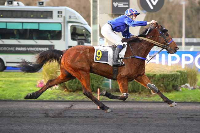 Photo d'arrivée de la course pmu PRIX PATRICK MOTTIER à PARIS-VINCENNES le Vendredi 20 février 2026