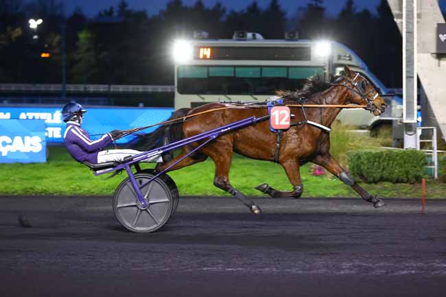 Photo d'arrivée de la course pmu PRIX DE GUERANDE à PARIS-VINCENNES le Vendredi 20 février 2026