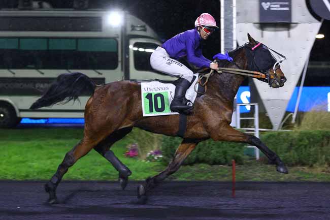Photo d'arrivée de la course pmu PRIX SALAM à PARIS-VINCENNES le Vendredi 20 février 2026