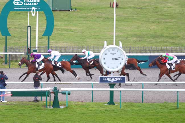 Photo d'arrivée de la course pmu PRIX DU PARC LAVERSIN à CHANTILLY le Vendredi 20 février 2026