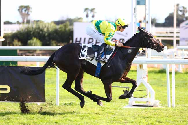 Photo d'arrivée de la course pmu PRIX DU FORT CARRE à CAGNES-SUR-MER le Samedi 21 février 2026