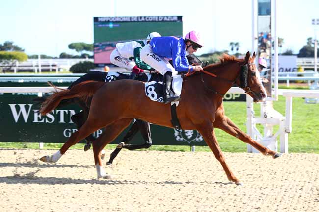 Photo d'arrivée de la course pmu PRIX DE PORQUEROLLES à CAGNES-SUR-MER le Samedi 21 février 2026