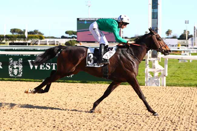 Photo d'arrivée de la course pmu PRIX DE PARIS-LONGCHAMP à CAGNES-SUR-MER le Samedi 21 février 2026