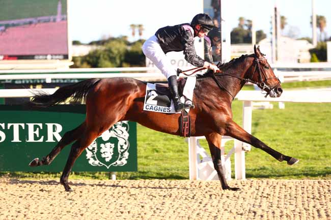 Photo d'arrivée de la course pmu PRIX DES CRIQUETS à CAGNES-SUR-MER le Samedi 21 février 2026
