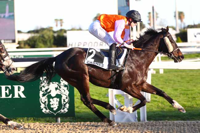 Photo d'arrivée de la course pmu PRIX DE DIEPPE à CAGNES-SUR-MER le Samedi 21 février 2026