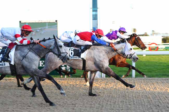 Photo d'arrivée de la course pmu PRIX DES CIGALES à CAGNES-SUR-MER le Samedi 21 février 2026