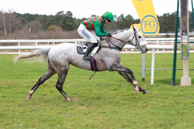 Photo d'arrivée de la course pmu PRIX DE LA SOCIETE DES COURSES DE CRAON à FONTAINEBLEAU le Samedi 21 février 2026