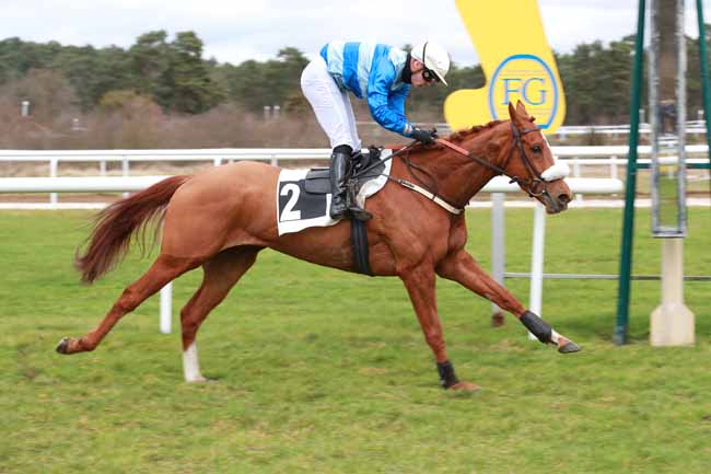 Photo d'arrivée de la course pmu PRIX DU CHAMPAGNE ROBERT GRUMIER à FONTAINEBLEAU le Samedi 21 février 2026