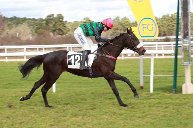 Photo d'arrivée de la course pmu PRIX DE CHAILLY-EN-BIERE à FONTAINEBLEAU le Samedi 21 février 2026