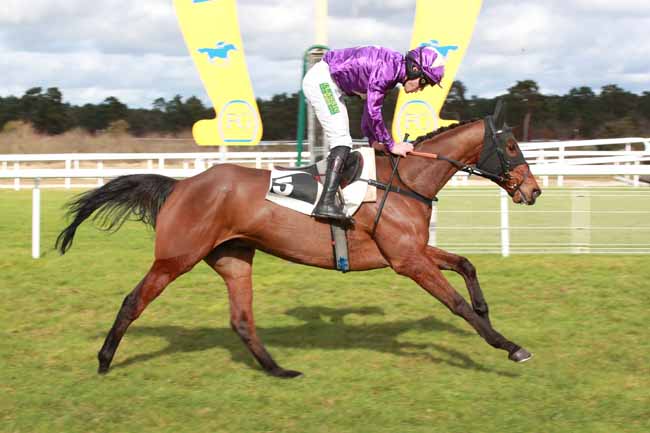 Photo d'arrivée de la course pmu PRIX DU CHATEAU DE FONTAINEBLEAU à FONTAINEBLEAU le Samedi 21 février 2026