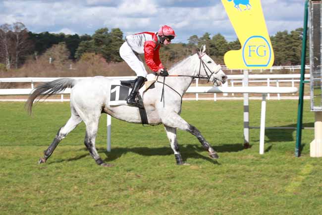 Photo d'arrivée de la course pmu PRIX ANNE-LISE REINBOLD à FONTAINEBLEAU le Samedi 21 février 2026
