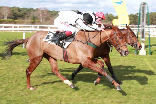 Photo d'arrivée de la course pmu PRIX GENERAL MARION à FONTAINEBLEAU le Samedi 21 février 2026