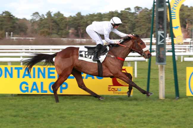 Photo d'arrivée de la course pmu PRIX DES HARAS NATIONAUX à FONTAINEBLEAU le Samedi 21 février 2026