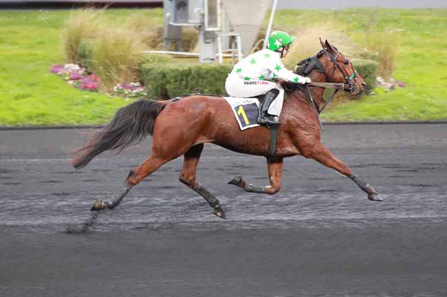 Photo d'arrivée de la course pmu PRIX STAR BOISSON - TANG FRERES (PRIX VIVIER DE MONFORT) à PARIS-VINCENNES le Dimanche 22 février 2026