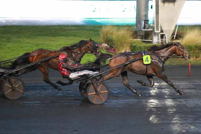 Photo d'arrivée de la course pmu PRIX ALTERVIP - OPERLE (PRIX DE JONCY) à PARIS-VINCENNES le Dimanche 22 février 2026