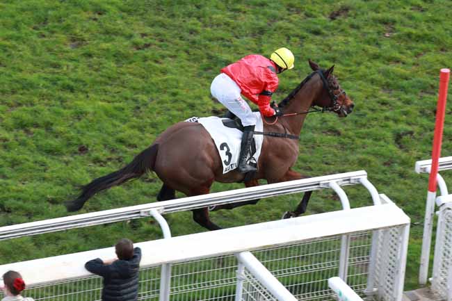 Photo d'arrivée de la course pmu PRIX ROHAN à AUTEUIL le Lundi 23 février 2026