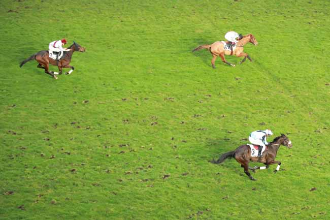 Photo d'arrivée de la course pmu PRIX DIDIER MESCAM à AUTEUIL le Lundi 23 février 2026