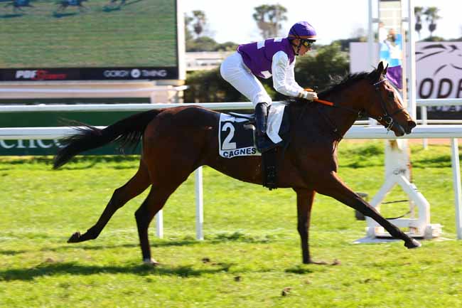 Photo d'arrivée de la course pmu PRIX DE MENTON à CAGNES-SUR-MER le Mardi 24 février 2026