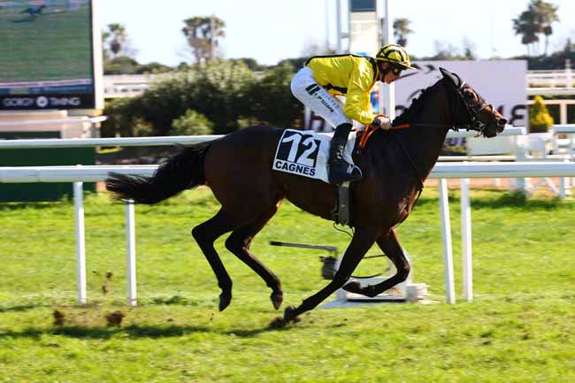 Photo d'arrivée de la course pmu PRIX JEAN-GABRIEL DOMERGUE à CAGNES-SUR-MER le Mardi 24 février 2026