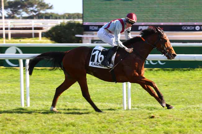 Arrivée quinté pmu PRIX RAUBA CAPEU à CAGNES-SUR-MER