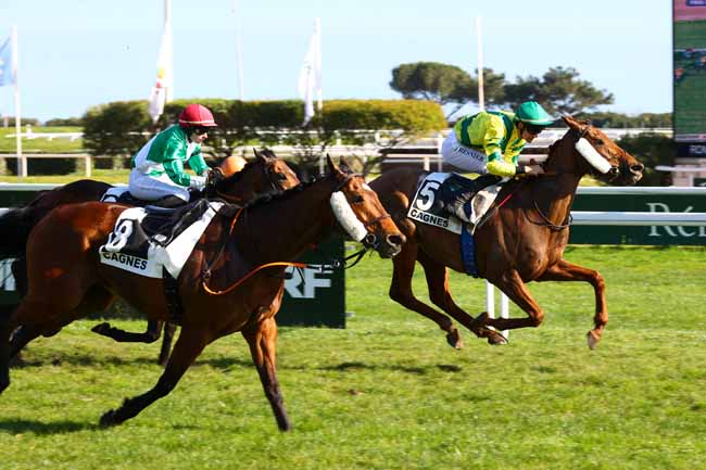 Photo d'arrivée de la course pmu PRIX DE FONTVIEILLE à CAGNES-SUR-MER le Mardi 24 février 2026