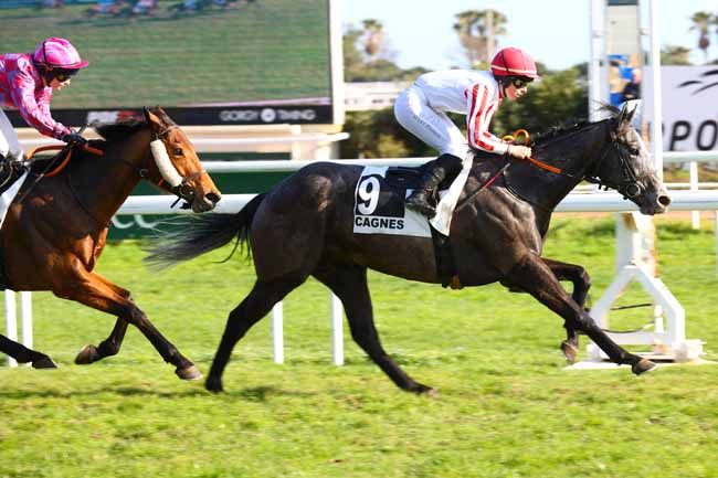 Photo d'arrivée de la course pmu PRIX DES MIMOSAS à CAGNES-SUR-MER le Mardi 24 février 2026