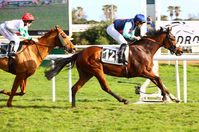 Photo d'arrivée de la course pmu PRIX DES BOUTONS D'OR à CAGNES-SUR-MER le Mardi 24 février 2026